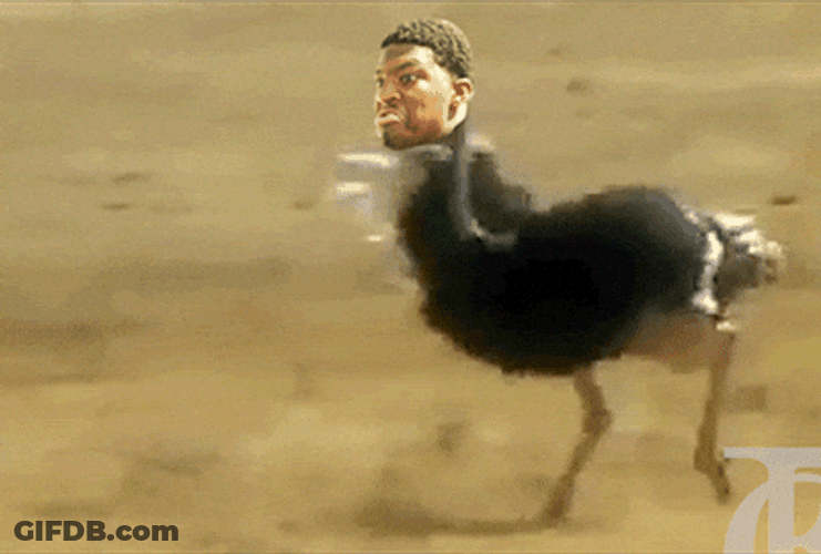 Fast Running Ostrich With Human Head GIF