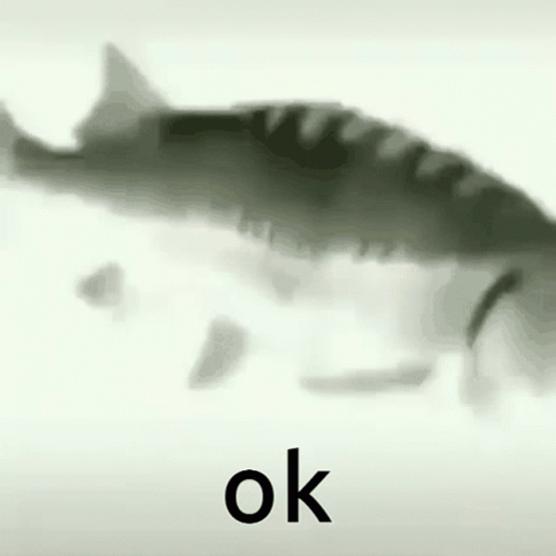 Fast Spinning Silver Fish Okay GIF