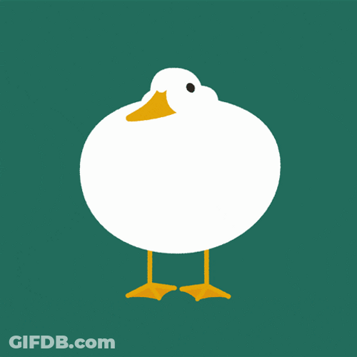 Fat And Soft Duck Bouncy Dance GIF