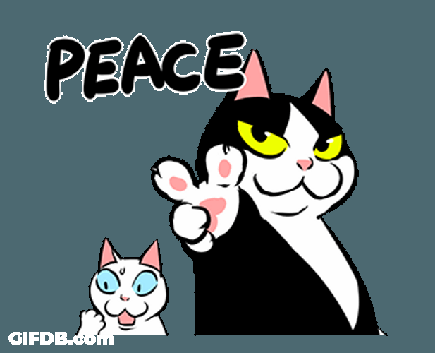 Fat Cat Doing Peace Sign GIF