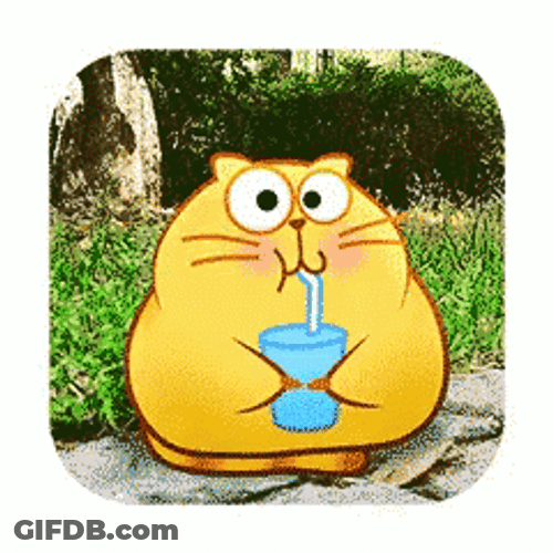 Fat Cat Drinking GIF