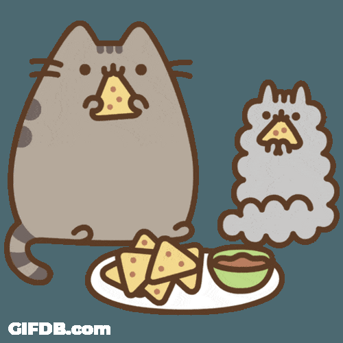 Fat Cat Eating Nachos GIF