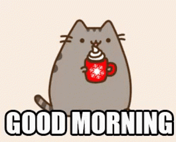 Fat Cat Good Morning Anime GIF