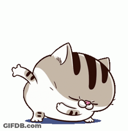 Fat Cat Taking A Bow GIF