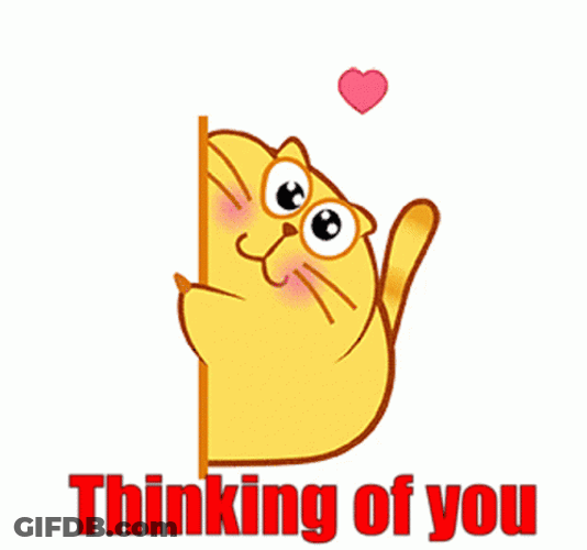 Fat Cat Thinking Of You GIF