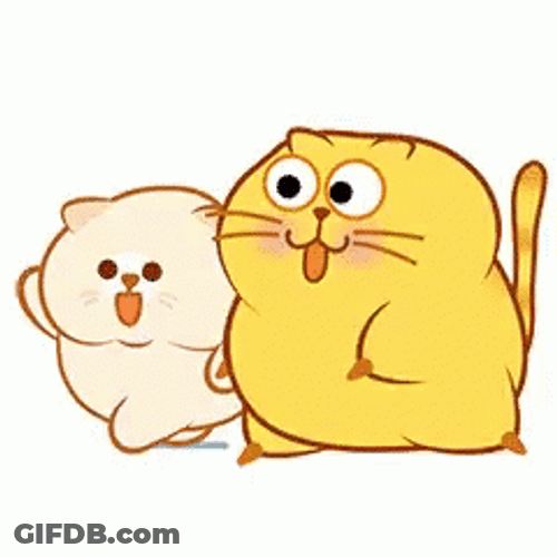 Fat Cats Walking Fast Brisk GIF