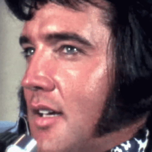 Fat Elvis Presley Interview GIF