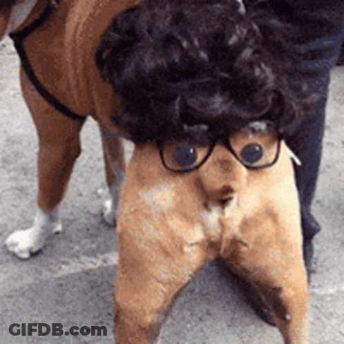 Fat GIF