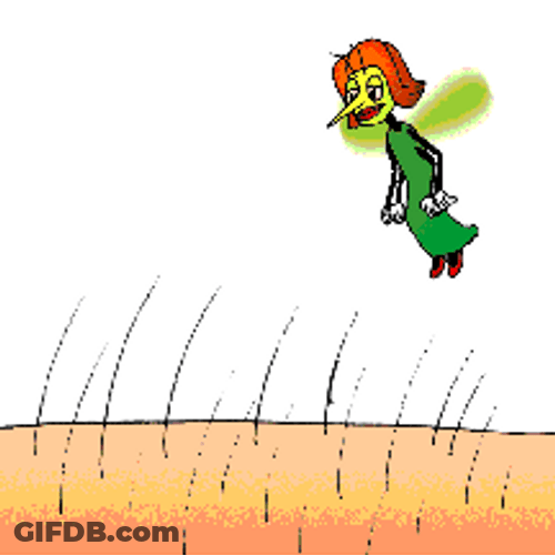 Fat Green Mosquito Bite GIF