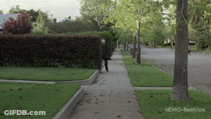 Fat Man In Blue Floral Shirt In Front Of Palm Tree GIF