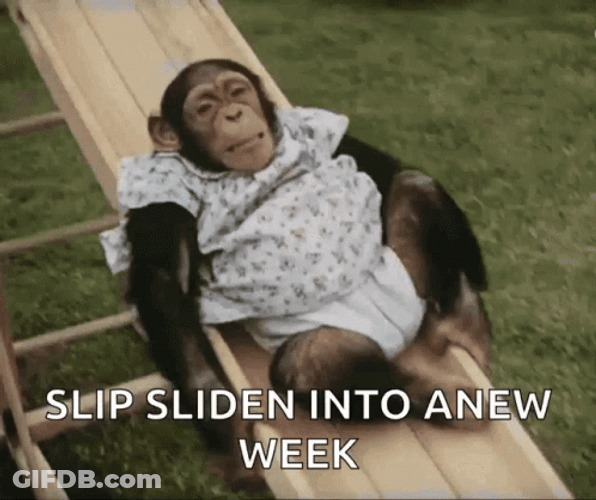 Fat Monkey Playing On A Slide GIF