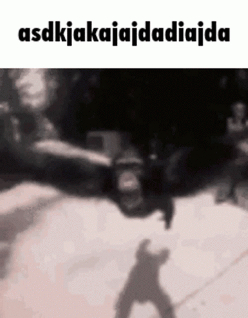 Fat Monkey Spinning Around GIF