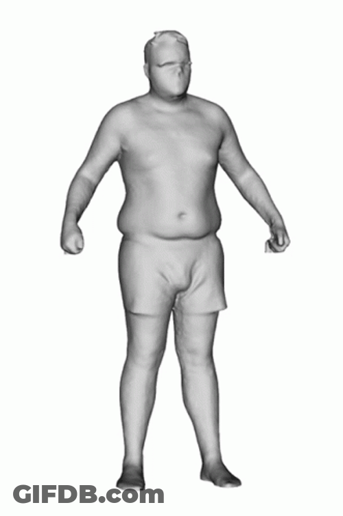 Fat People Anatomy GIF