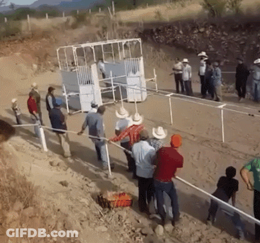 Fat People Racing GIF