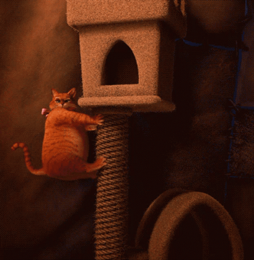 Fat Puss In Boots Descending From Cat House GIF