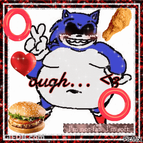Fat Sonic With Hamburger And Chicken GIF