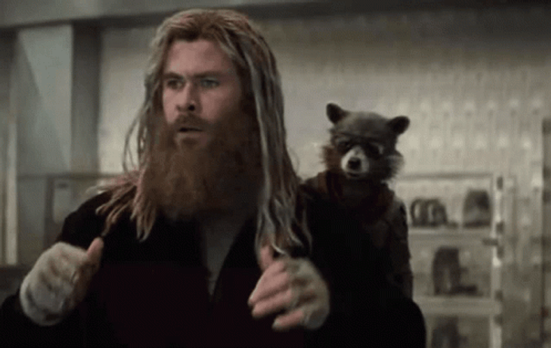 Fat Thor With Rocket Raccoon GIF
