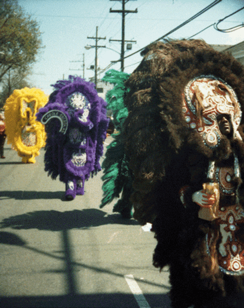 Fat Tuesday Mardi Gras Parade GIF