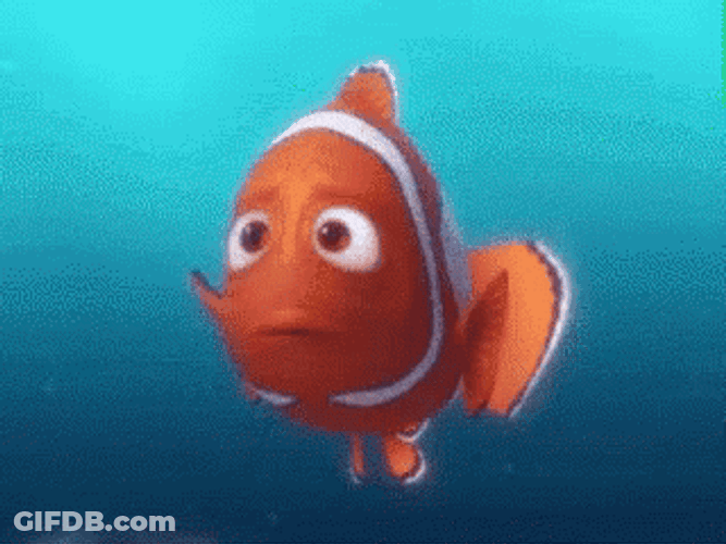 Father Of Nemo Is Sad GIF
