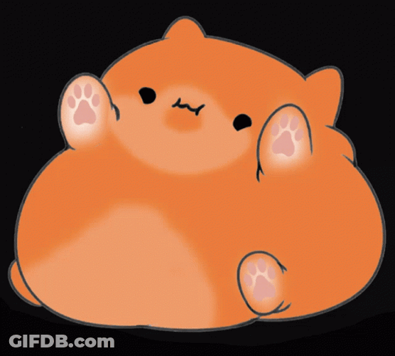Fatty Bongo Cat GIF