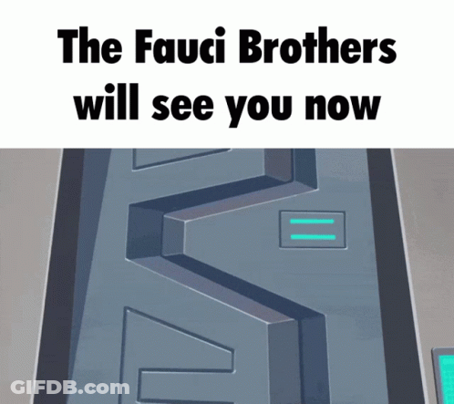 Fauci Brothers Sign With Maze GIF