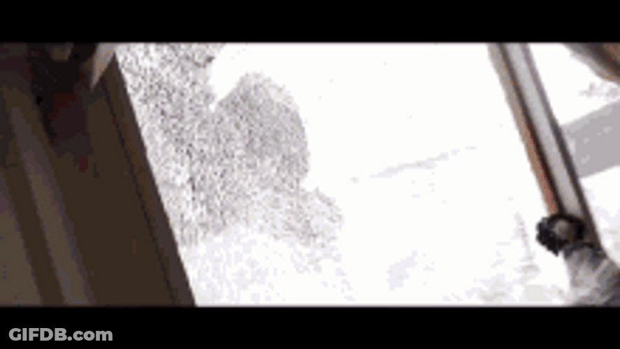 Fbi Breaking In Window Capture Raid GIF