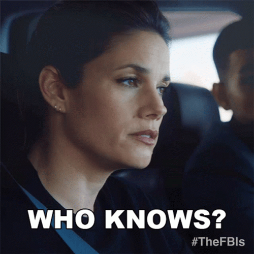 FBI Missy Peregrym Who Knows GIF