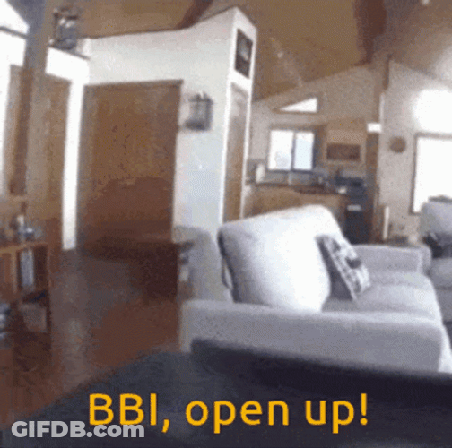 Fbi Open Up BBI Bear Meme GIF