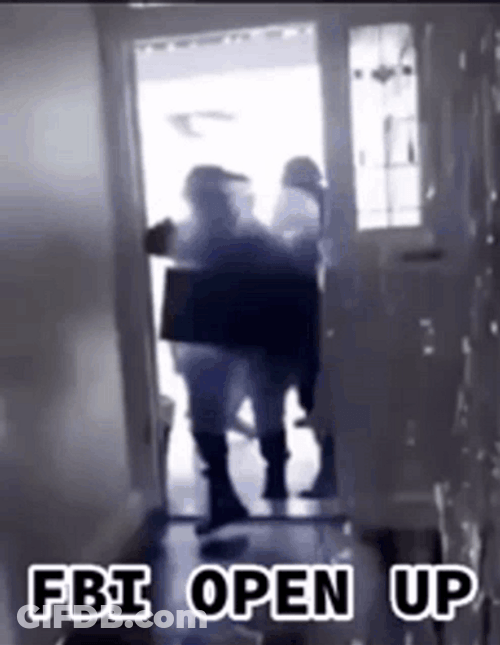 Fbi Open Up Busting In Meme GIF