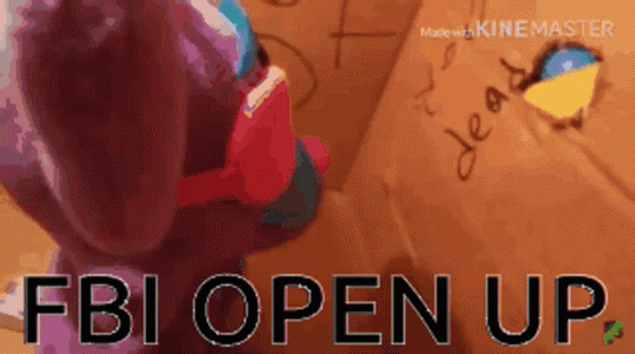 Fbi Open Up Cat In Box Meme GIF