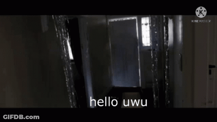 Fbi Open Up Hello Uwu Meme GIF