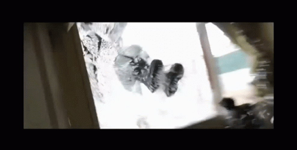 Fbi Open Up Smashing Glass Window GIF
