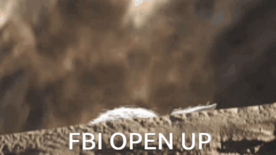 Fbi Open Up Yoda Star Wars Meme GIF