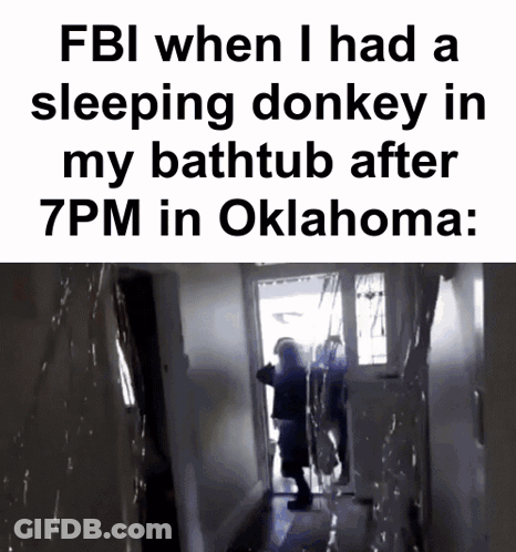 Fbi When I Had A Sleeping Donkey In My Bathtub After 7Pm In Oklahoma: GIF