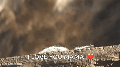 Feather On Rock Saying I Love You Mama GIF