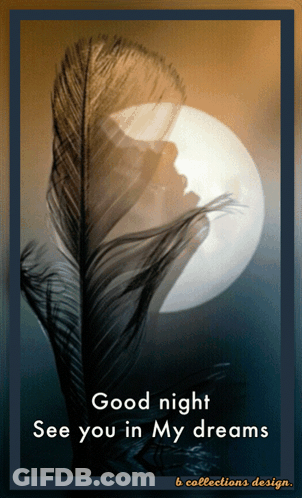 Feather With Good Night See You In Dreams GIF