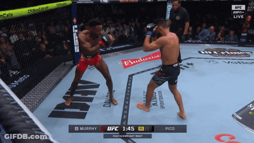 Featherweight Bout Between Murphy And Pico At 1:45 GIF