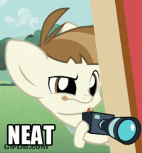 Featherweight Taking Neat Photos GIF