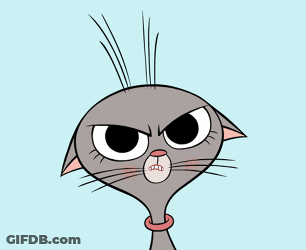 Fed Up Cat GIF