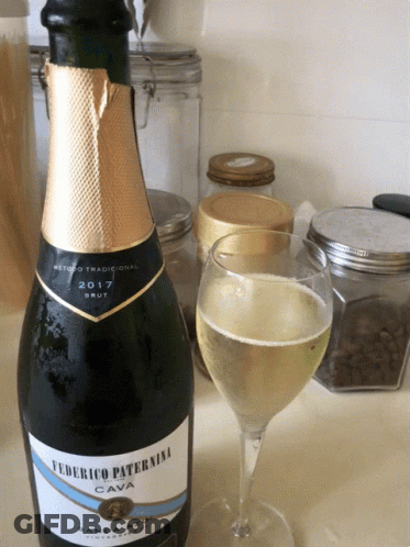 Federico Paternina Cava Bottle Next To Glass GIF