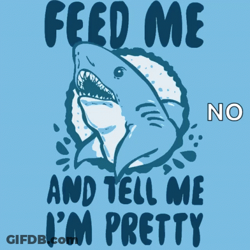 Feed Me And Tell Me Im Pretty Shark GIF