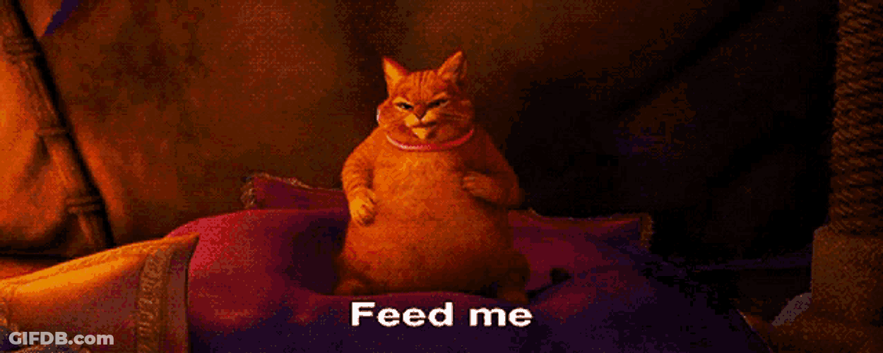 Feed Me GIF