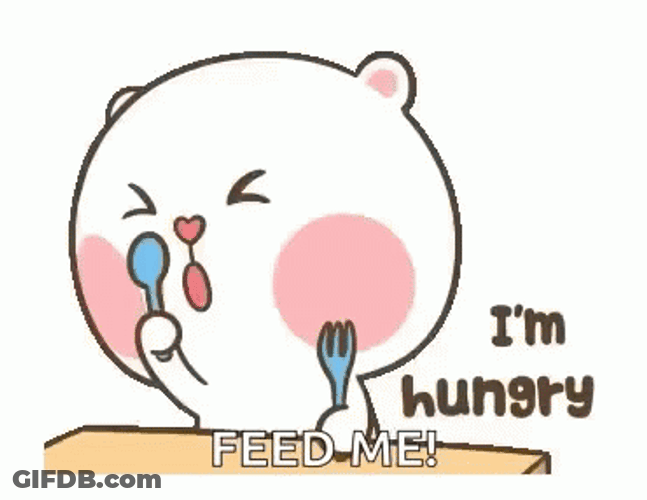Feed Me Hungry Puffy Bear GIF