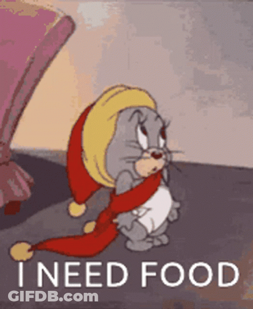 Feed Me Jerry I Need Food GIF