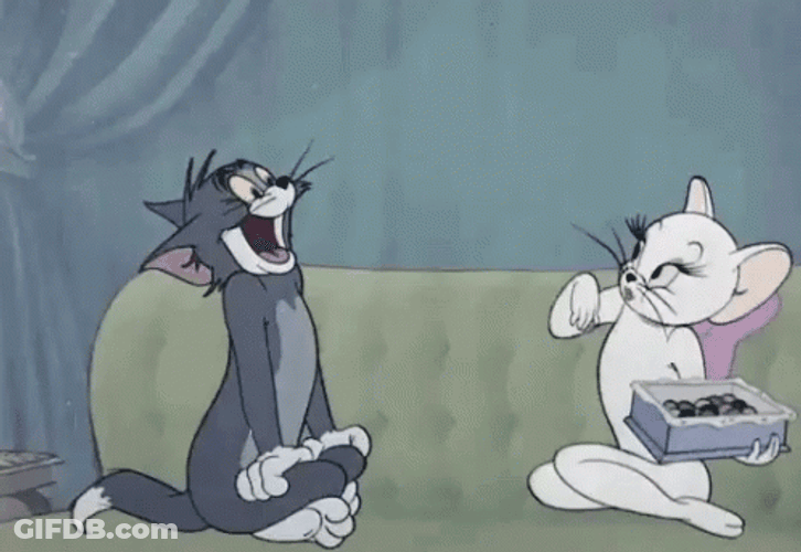 Feed Me Two Cats Tom And Toodles GIF