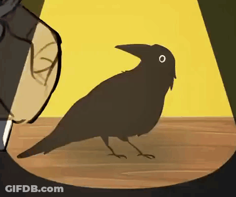 Feeding Black Bird Get Bitten Idiot GIF