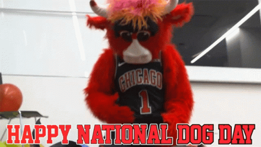Feeding Dog Happy Day GIF