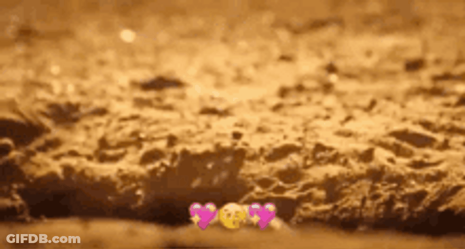 Feel Better Cute Meerkat GIF