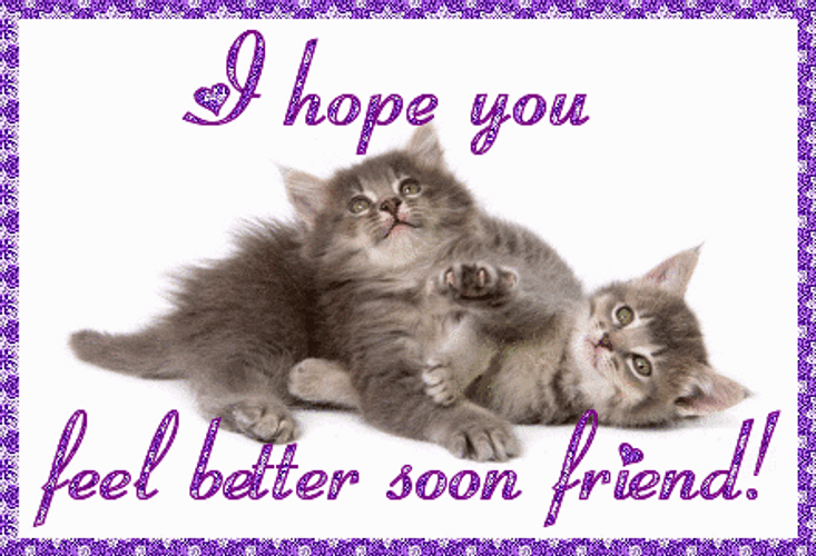 Feel Better Soon Kitties GIF