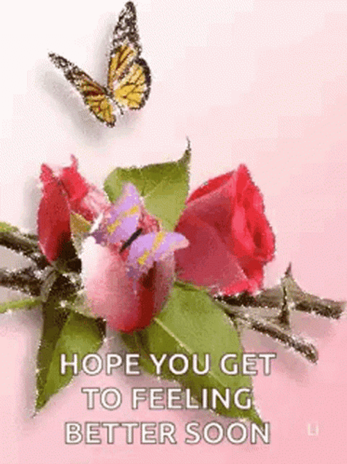 Feel Better Soon Roses Butterflies GIF